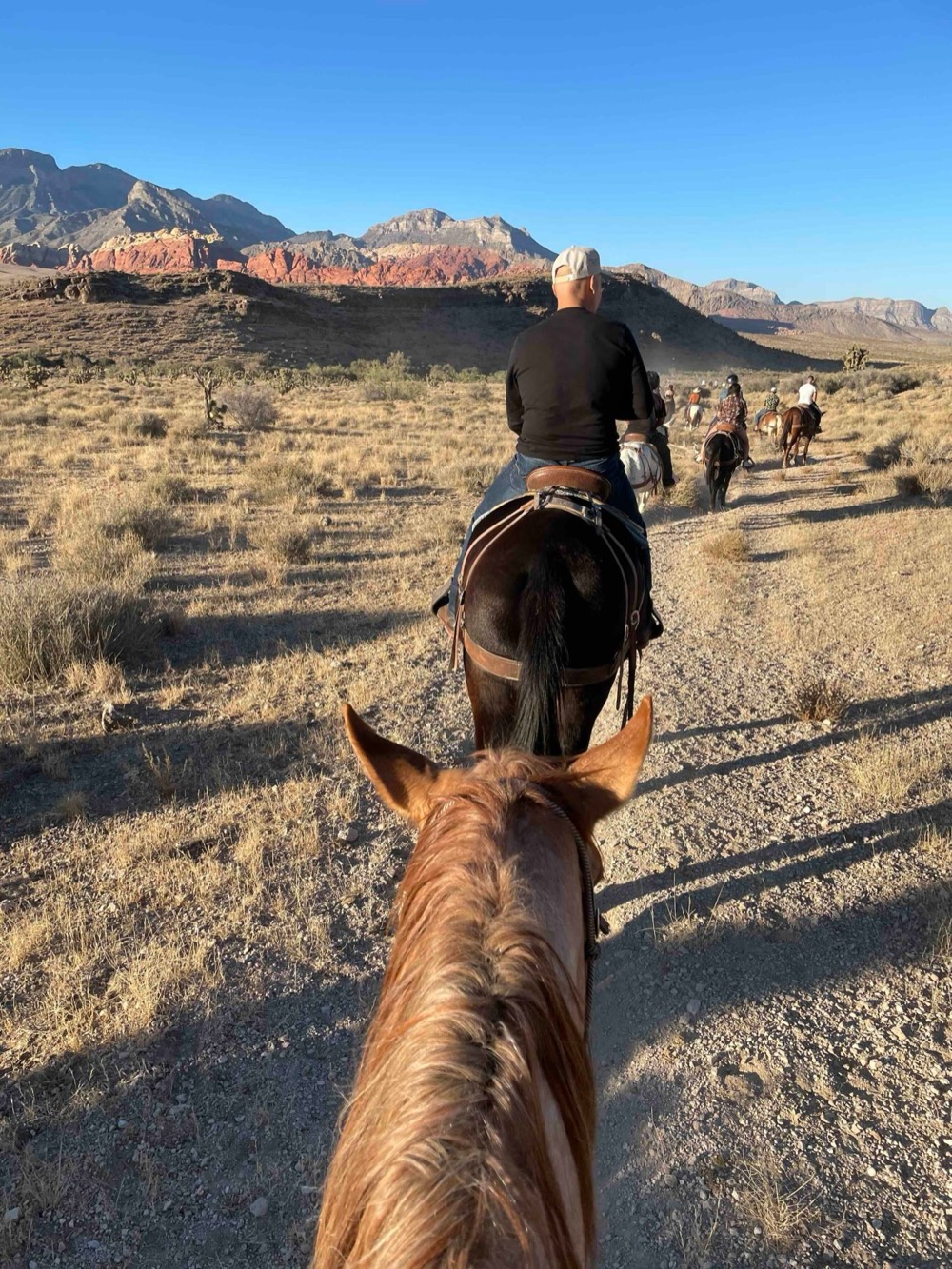View between a horse’s ears down a desert trail toward red rock mountains, riders ahead
